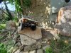 thumbnail_20250713_171645.jpg