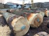 Scierie-Gaudelas-grumes00001.jpg