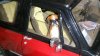 DSC_0118-forum.jpg