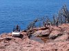 IMG_20260603_175747.jpg