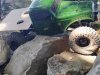 IMG_20260613_164426.jpg