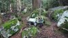 _copie-0_DSC_0063.jpg