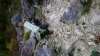 _copie-0_DSC_0080.jpg
