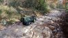 _copie-0_DSC_0037.jpg