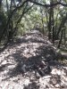 20180812_120329.jpg
