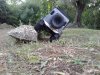 20180717_210740.jpg
