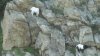 DSC01564.JPG