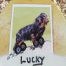 lucky
